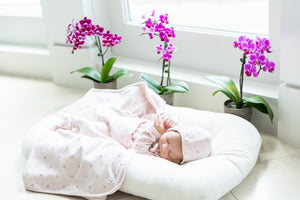Little Fragile Baby Pink Velour Floral Layette Set