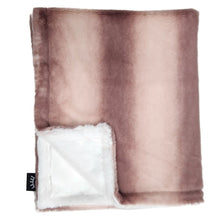 Load image into Gallery viewer, Winx + Blinx Vanilla Rose Minky Blanket
